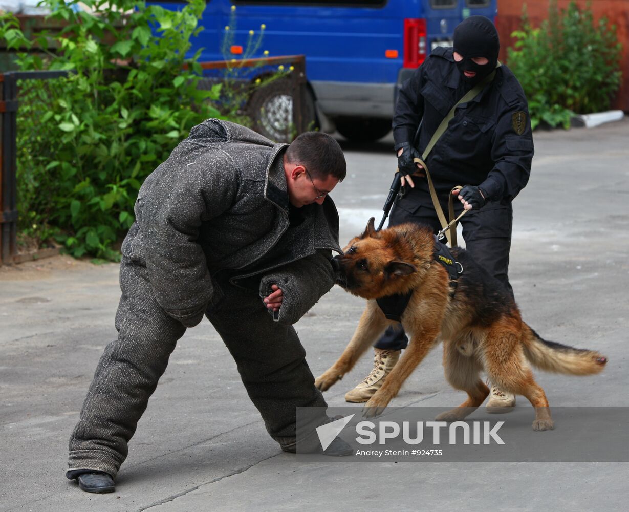 Dog service of FDCS