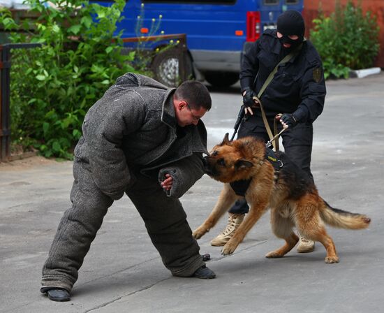 Dog service of FDCS