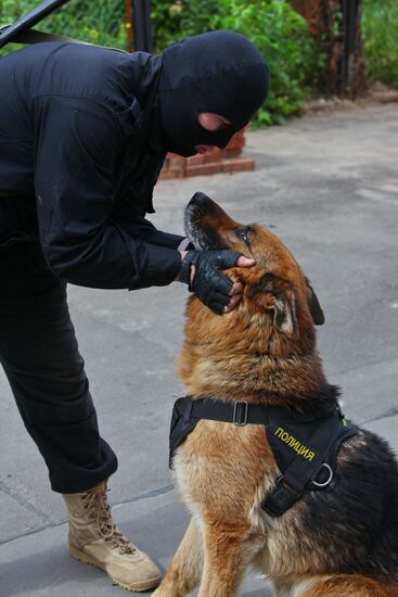 Dog service of FDCS