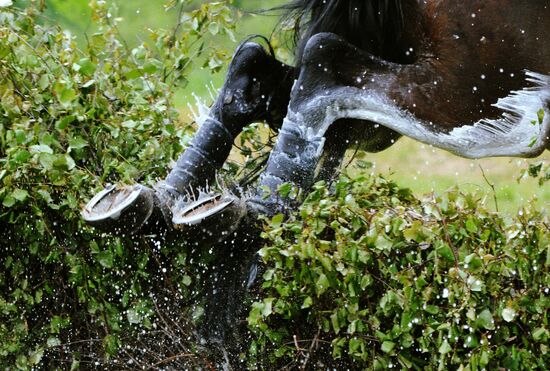 International competition in equestrian events