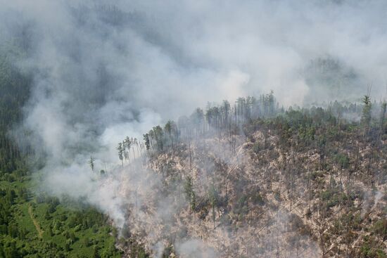 Battling wildfires in Krasnoyarsk Territory