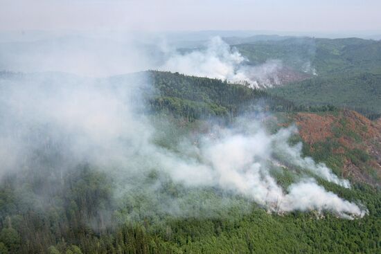 Battling wildfires in Krasnoyarsk Territory