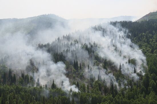 Battling wildfires in Krasnoyarsk Territory