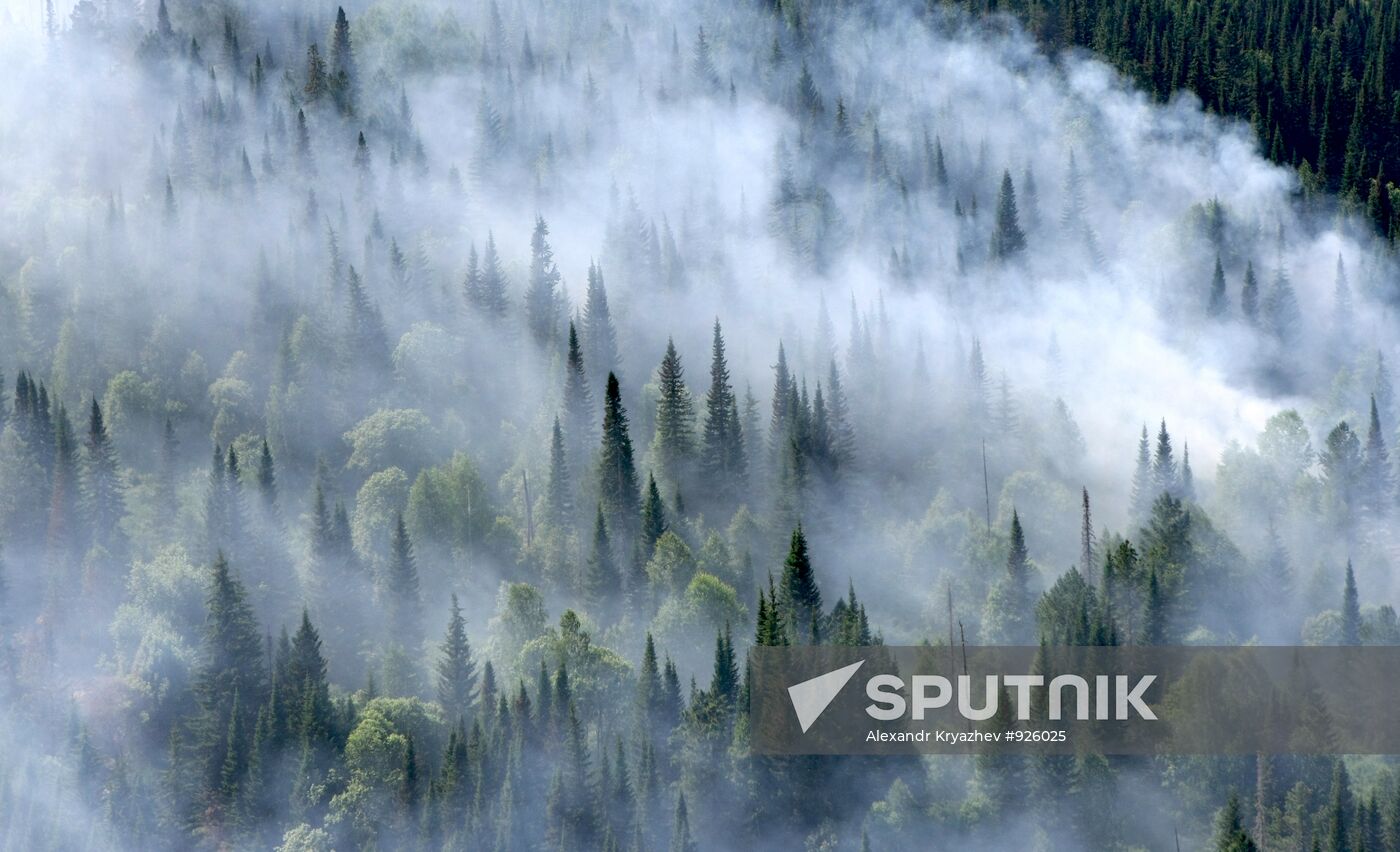 Forest fires in Krasnoyarsk Territory