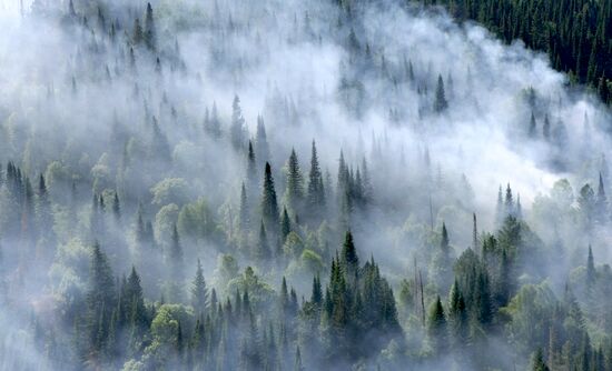 Forest fires in Krasnoyarsk Territory