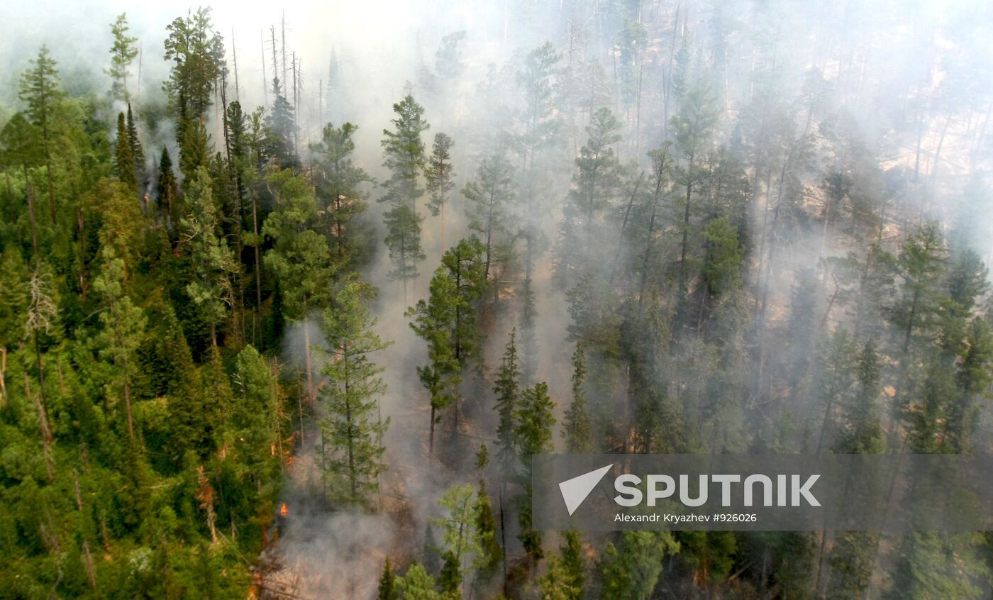 Forest fires in Krasnoyarsk Territory