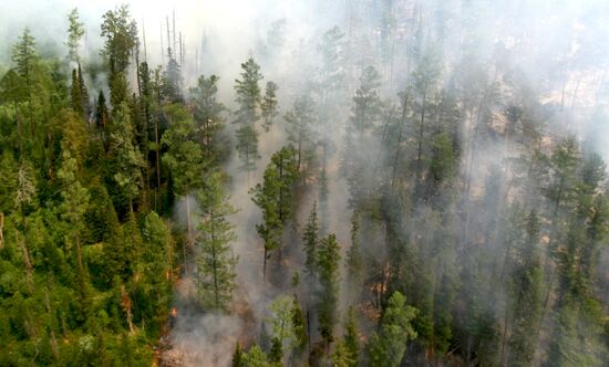 Forest fires in Krasnoyarsk Territory