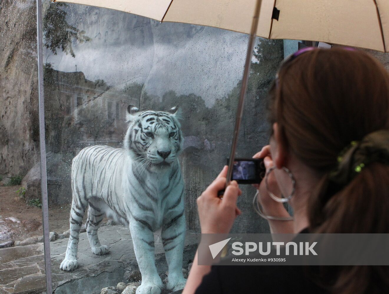 Inhabitants of Moscow Zoo with cubs