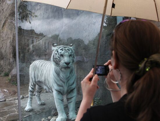 Inhabitants of Moscow Zoo with cubs