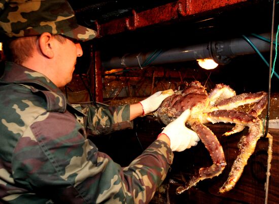 Primorye border guards detain foreign poachers boat