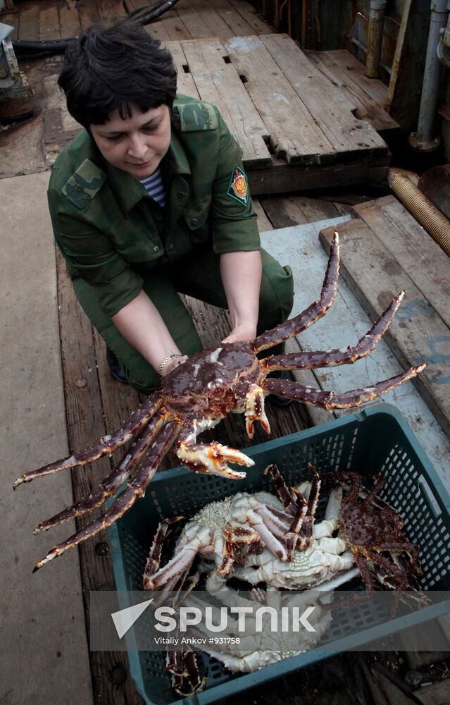 Primorye border guards detain foreign poachers boat