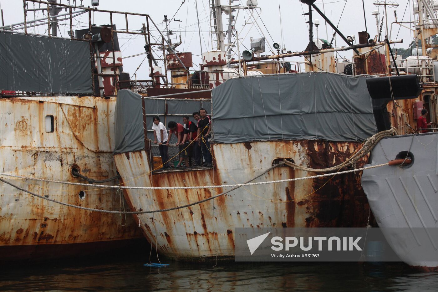Moored poaching vessels detained by coast guard