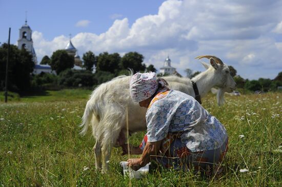 Towns of Russia. Pereslavl-Zalessky