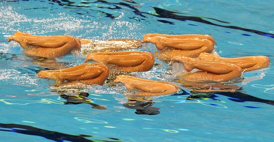 14th FINA World Championships. Day Four