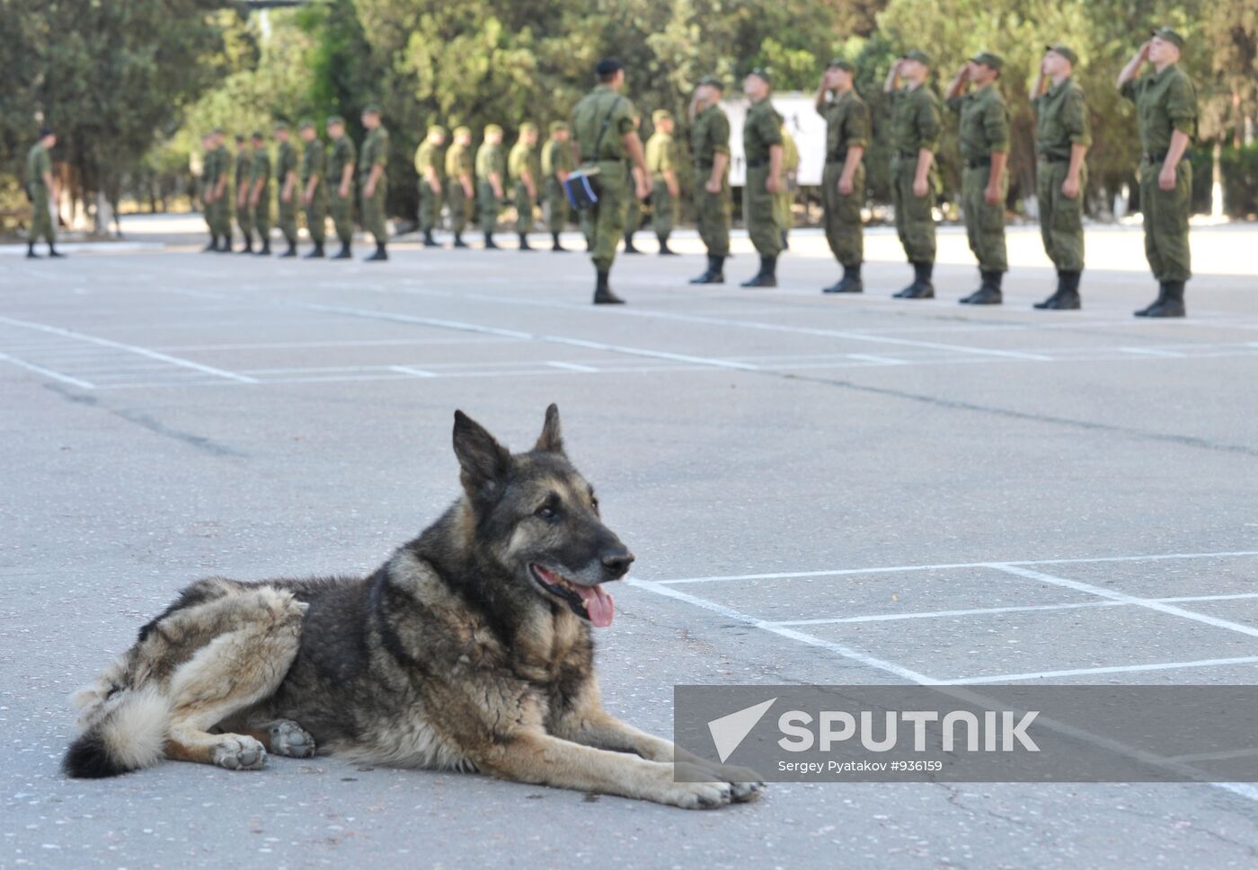 Black Sea fleet drills in Sevastopol