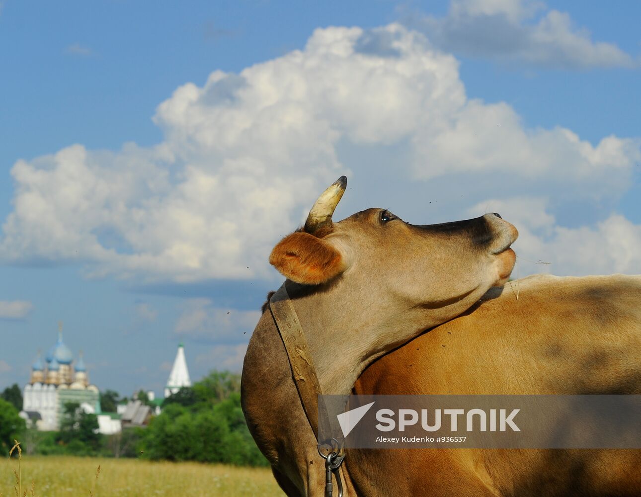 The Golden Ring of Russia. Suzdal
