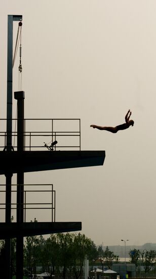 FINA World Championships. Day Six