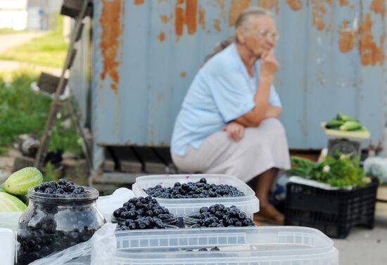 Blackberries sold in Veliky Novgorod