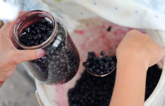 Blackberries sold in Veliky Novgorod