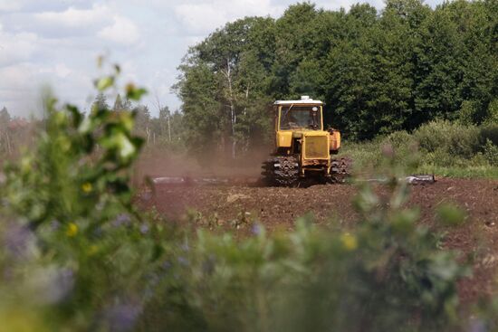 Peat extracted and processed in Shatura