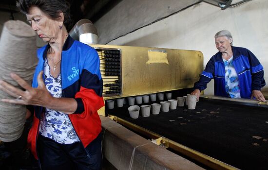 Peat extracted and processed in Shatura