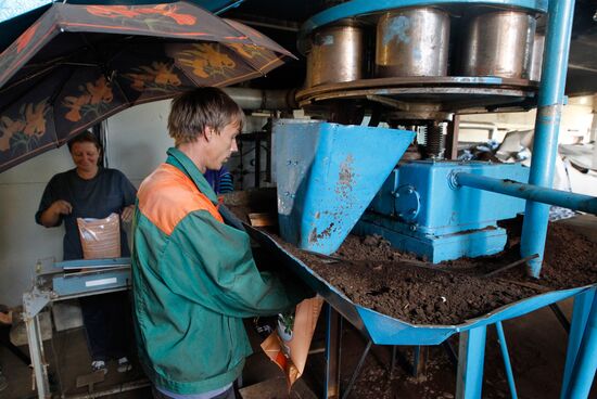 Peat extracted and processed in Shatura