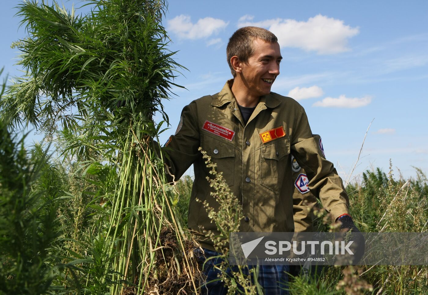 Student crew destroys wild hemp plants in Altai Territory