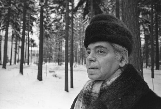 Arkady Raikin