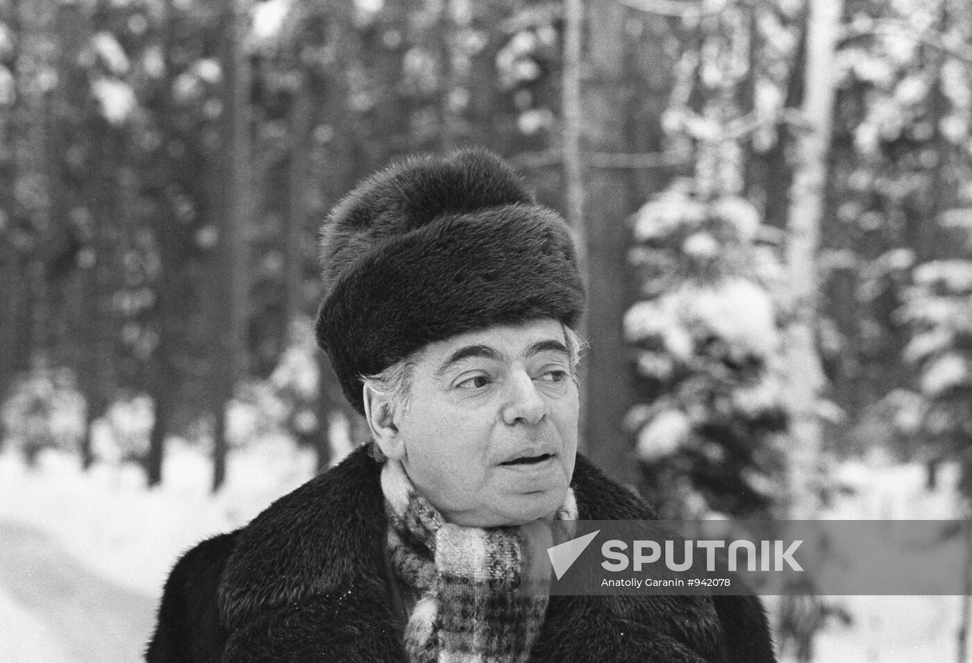 Arkady Raikin