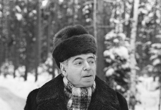 Arkady Raikin