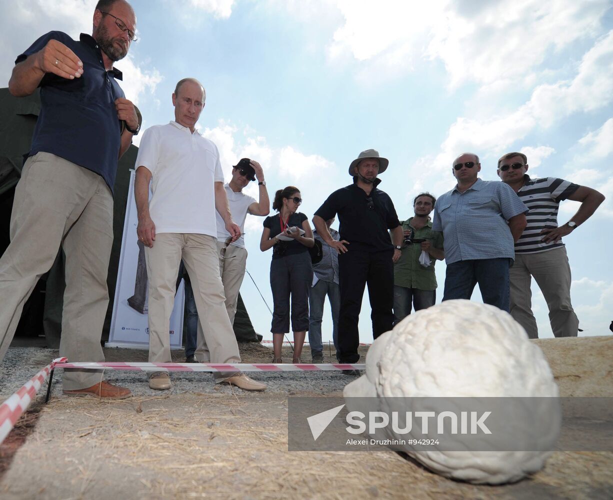 Vladimir Putin visits excavation site, Taman Peninsula