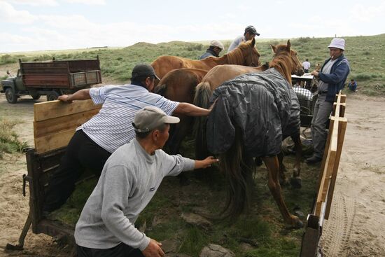 Tuvan horse racing championship