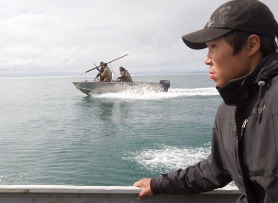 Walrus hunt, Chukotka