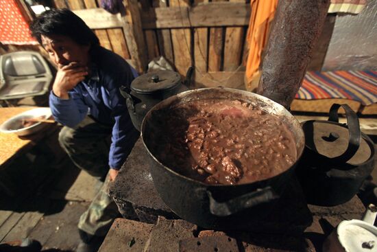 Walrus hunt, Chukotka