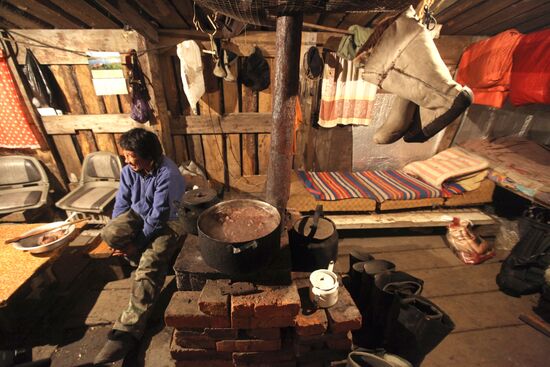 Walrus hunt, Chukotka
