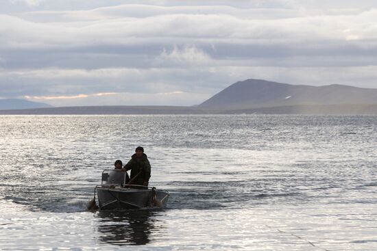 Walrus hunt, Chukotka