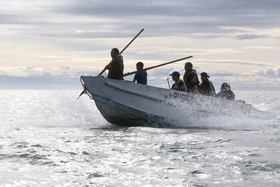 Walrus hunt, Chukotka
