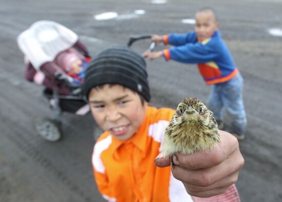 Regions of Russia. Chukotsky District