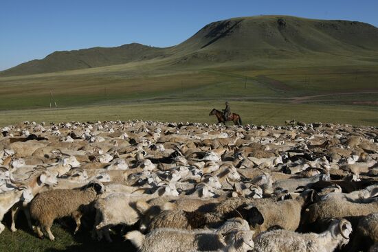 Shepherds encampment in Kara-Sug, Republic of Tyva