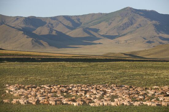 Shepherds encampment in Kara-Sug, Republic of Tyva