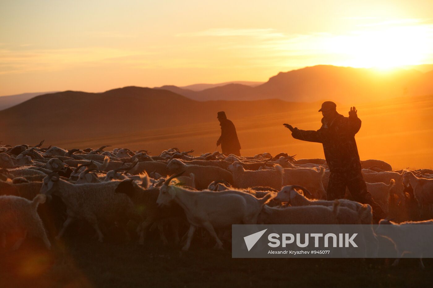 Shepherds encampment in Kara-Sug, Republic of Tyva