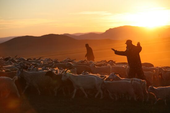 Shepherds encampment in Kara-Sug, Republic of Tyva