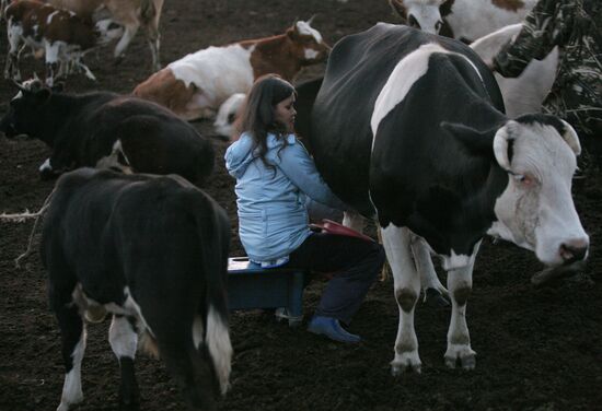 Shepherds encampment in Kara-Sug, Republic of Tyva