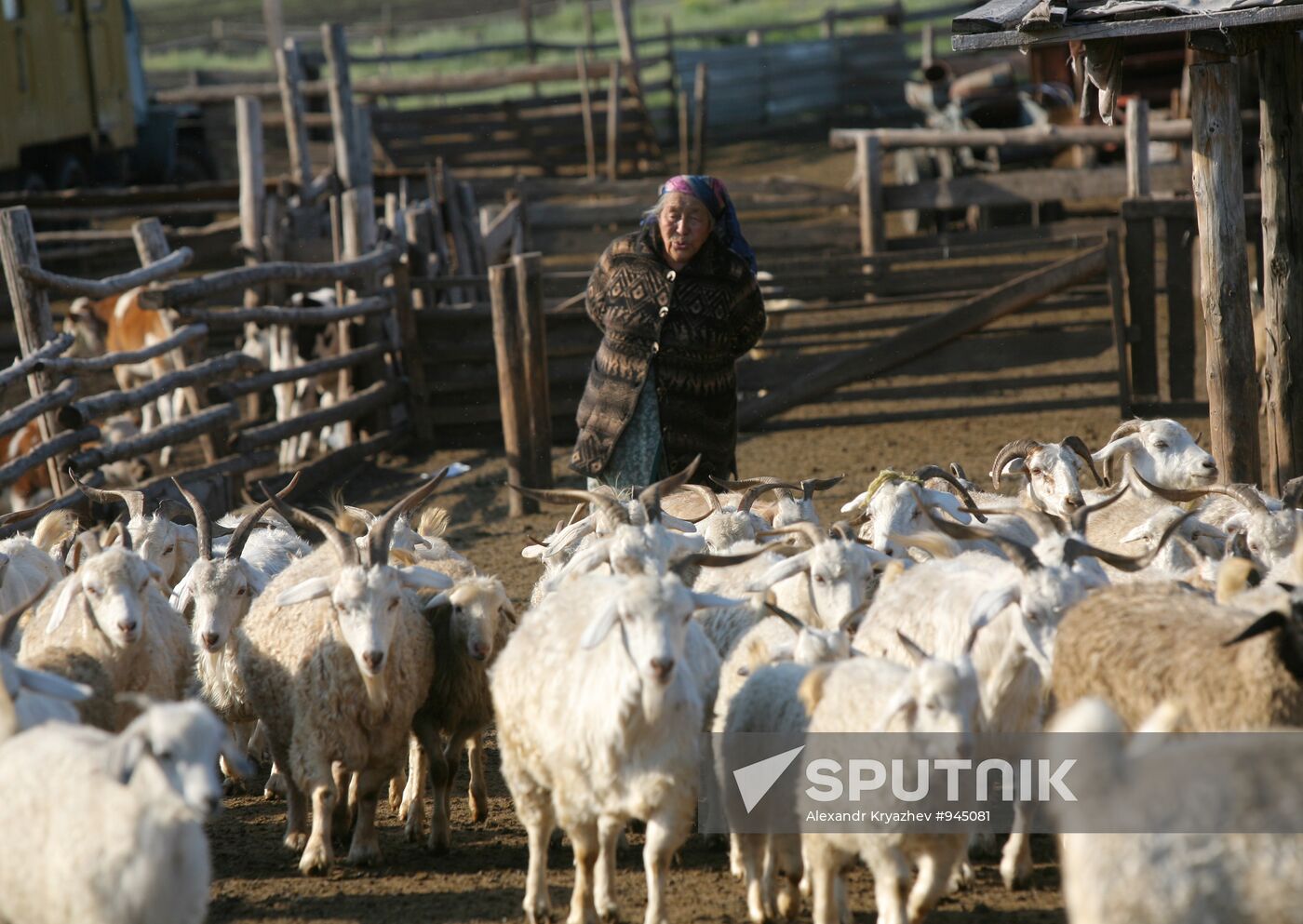 Shepherds encampment in Kara-Sug, Republic of Tyva