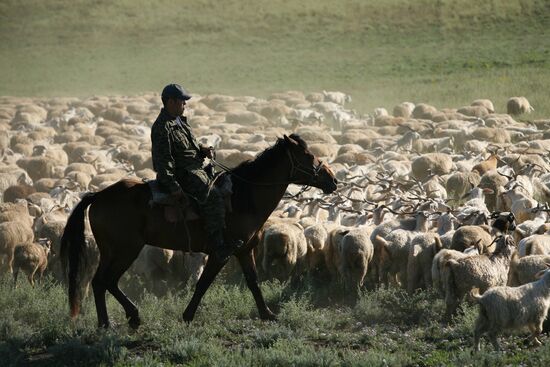 Shepherds encampment in Kara-Sug, Republic of Tyva