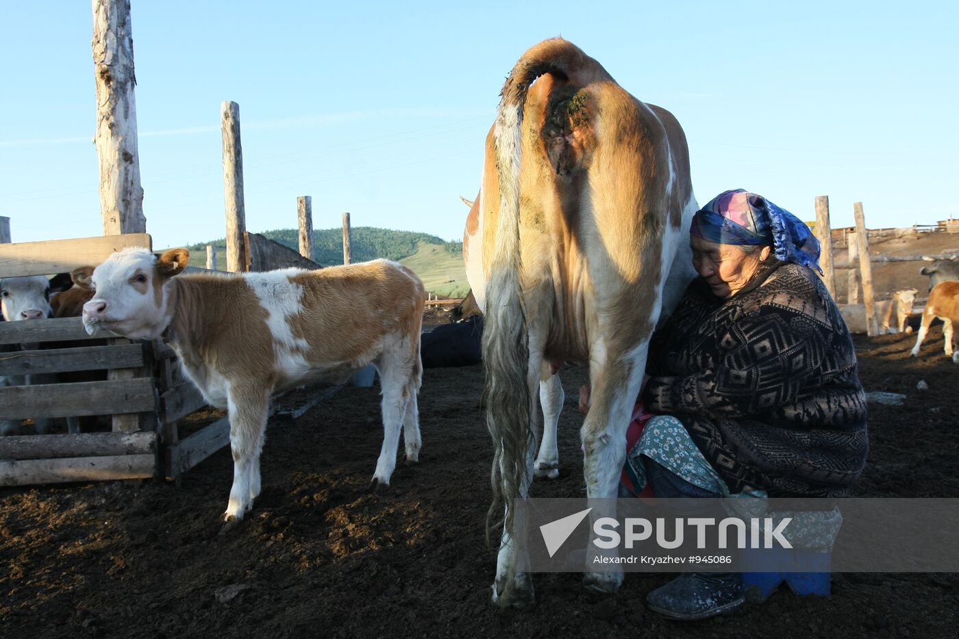 Shepherds encampment in Kara-Sug, Republic of Tyva