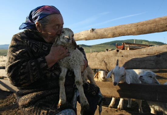 Shepherds encampment in Kara-Sug, Republic of Tyva