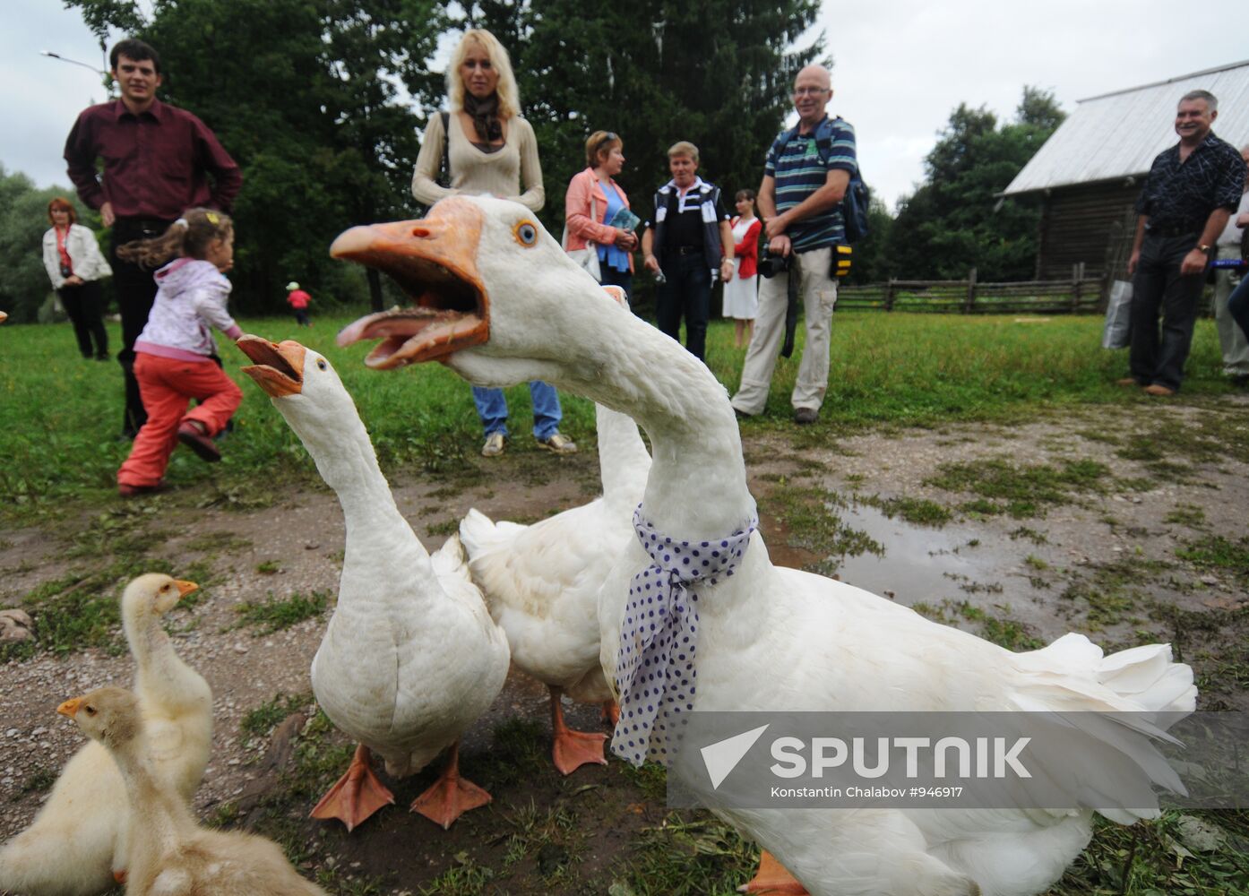 Novgorod Region celebrates Savior regional festival
