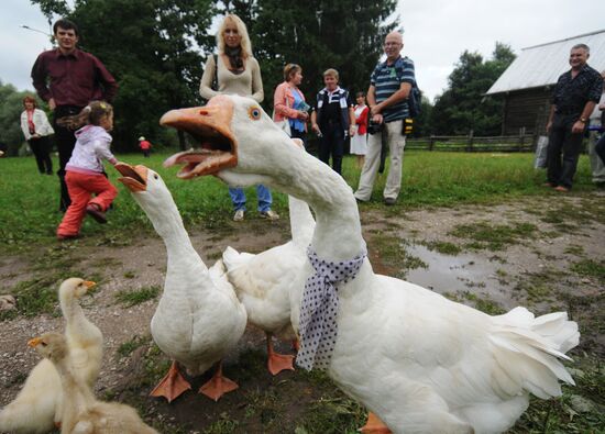 Novgorod Region celebrates Savior regional festival