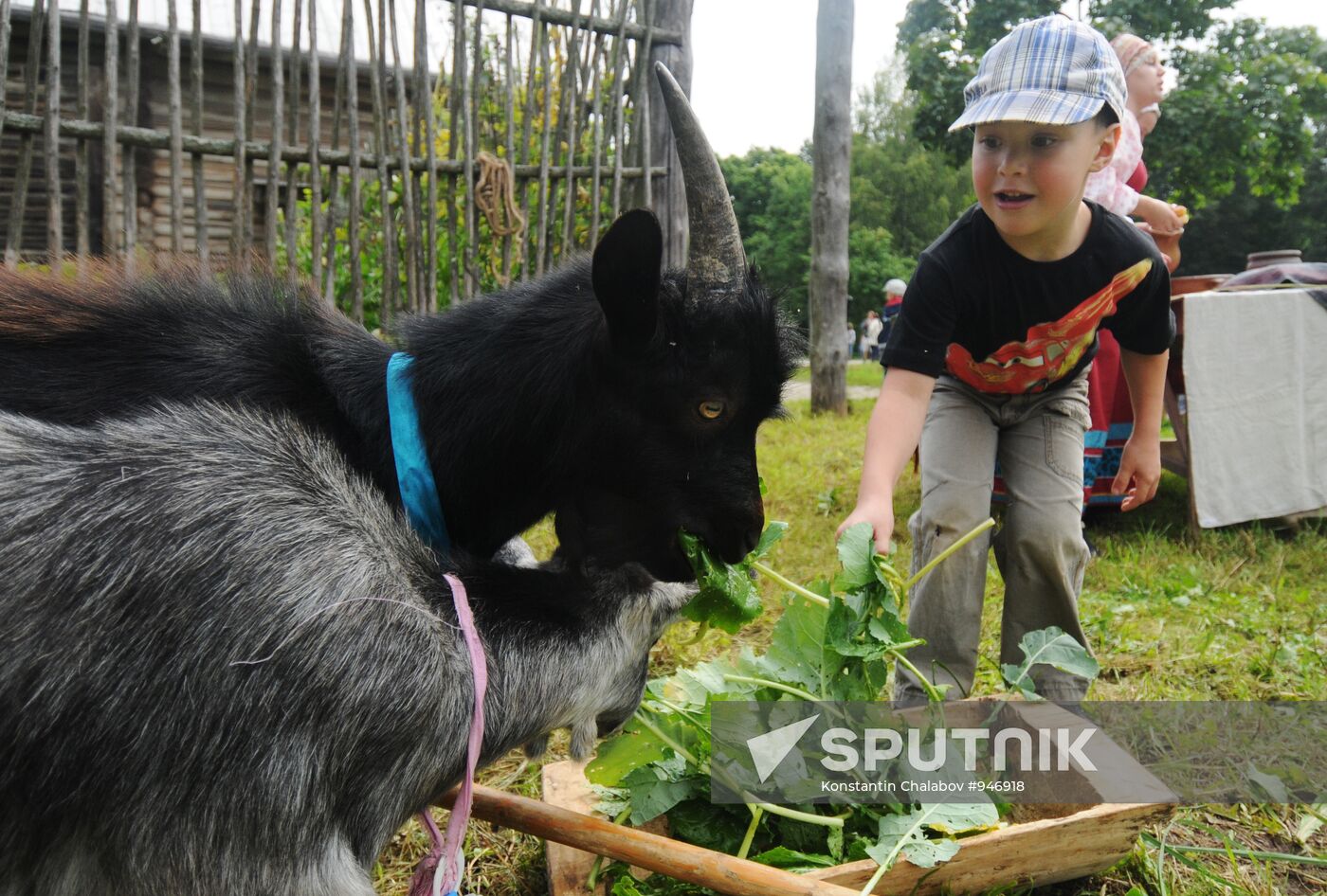 Novgorod Region celebrates Savior regional festival
